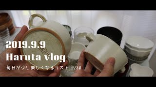 [vlog]食器棚をキレイにしつつ、食器紹介【毎日が少し楽しくなるリスト9】