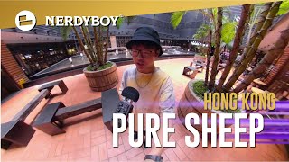 Beatbox Planet 2019 | Pure Sheep From Hong Kong