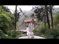 Wudang kung fu academy  taiyi quan by master zheng