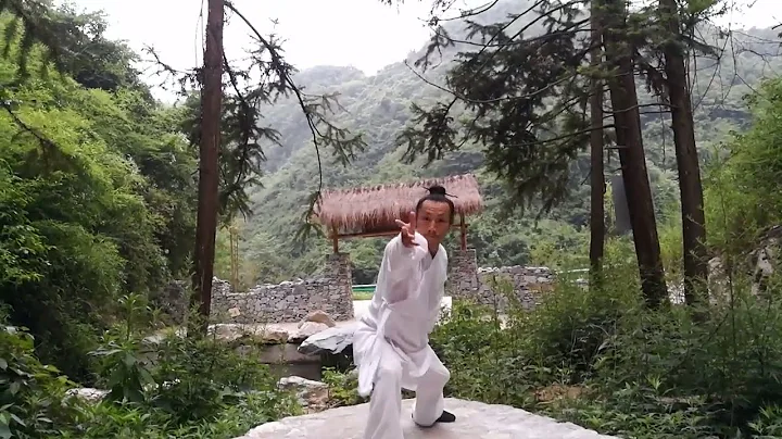 Wudang Kung Fu Academy - TaiYi Quan by Master Zheng