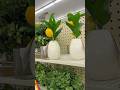#viral #shortvideo #shorts