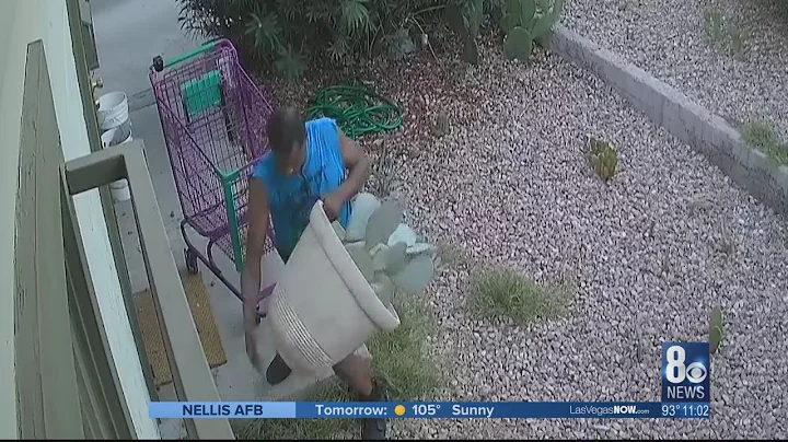 Garden Grinch: Man steals pots, plants from homes