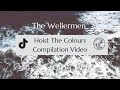 The Wellermen- Hoist The Colours Compilation 2