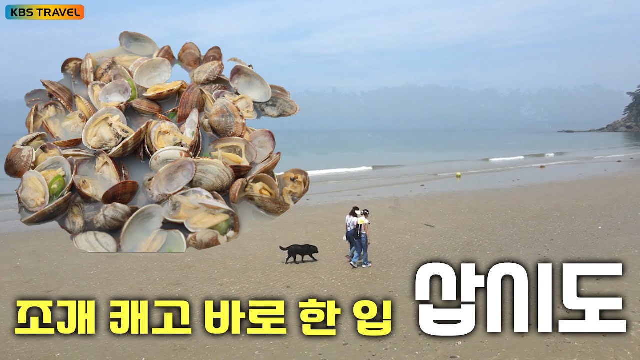 [국내여행]잡고, 굽고, 먹는다! 갯벌 위 하루식탁, 삽시도 #kbs여행