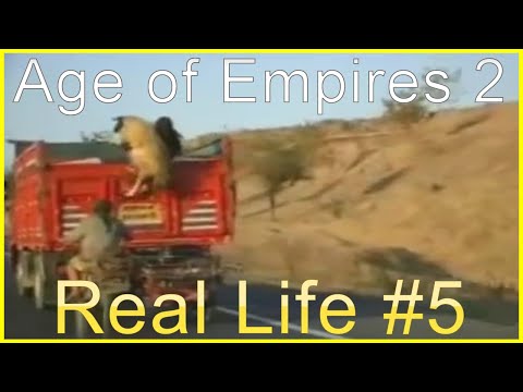 Age Of Empires 2 In Real Life #5