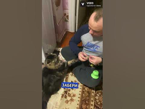 Олександр Пугач - YouTube