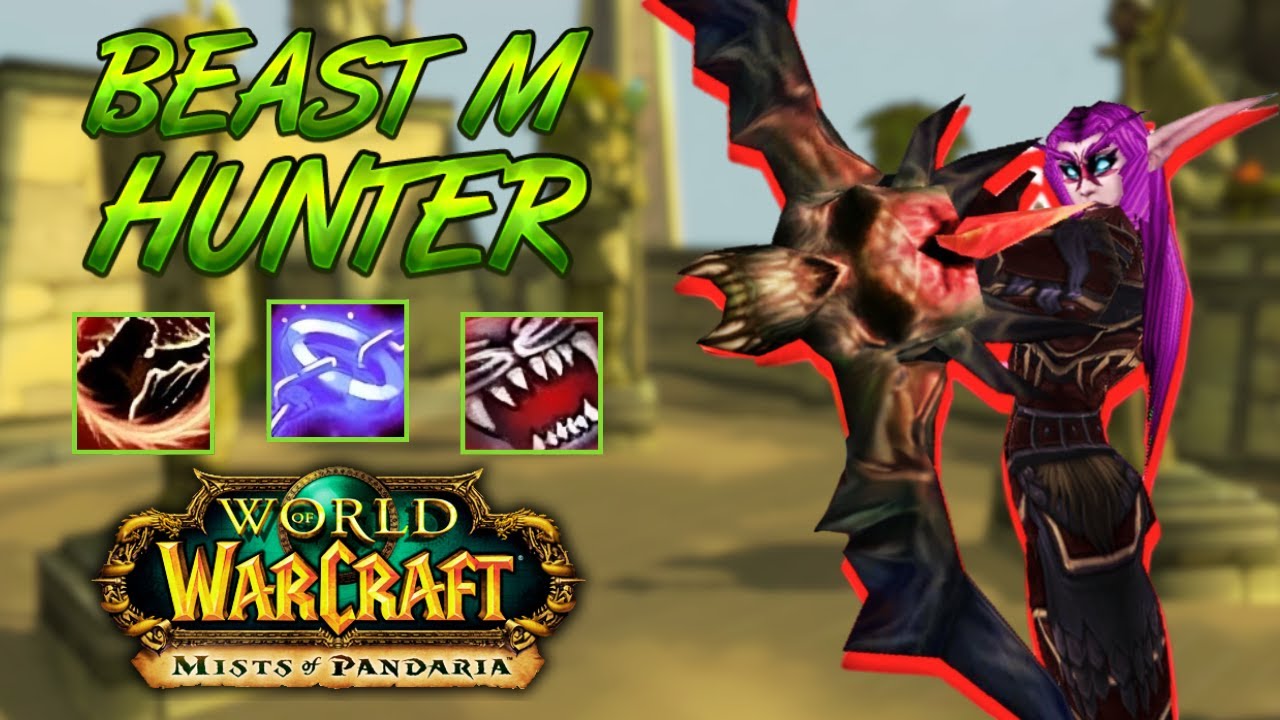 BM Hunter PvP +2200 - WoW MoP