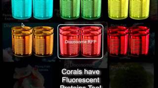 ￼The expanding palette of fluorescent proteins