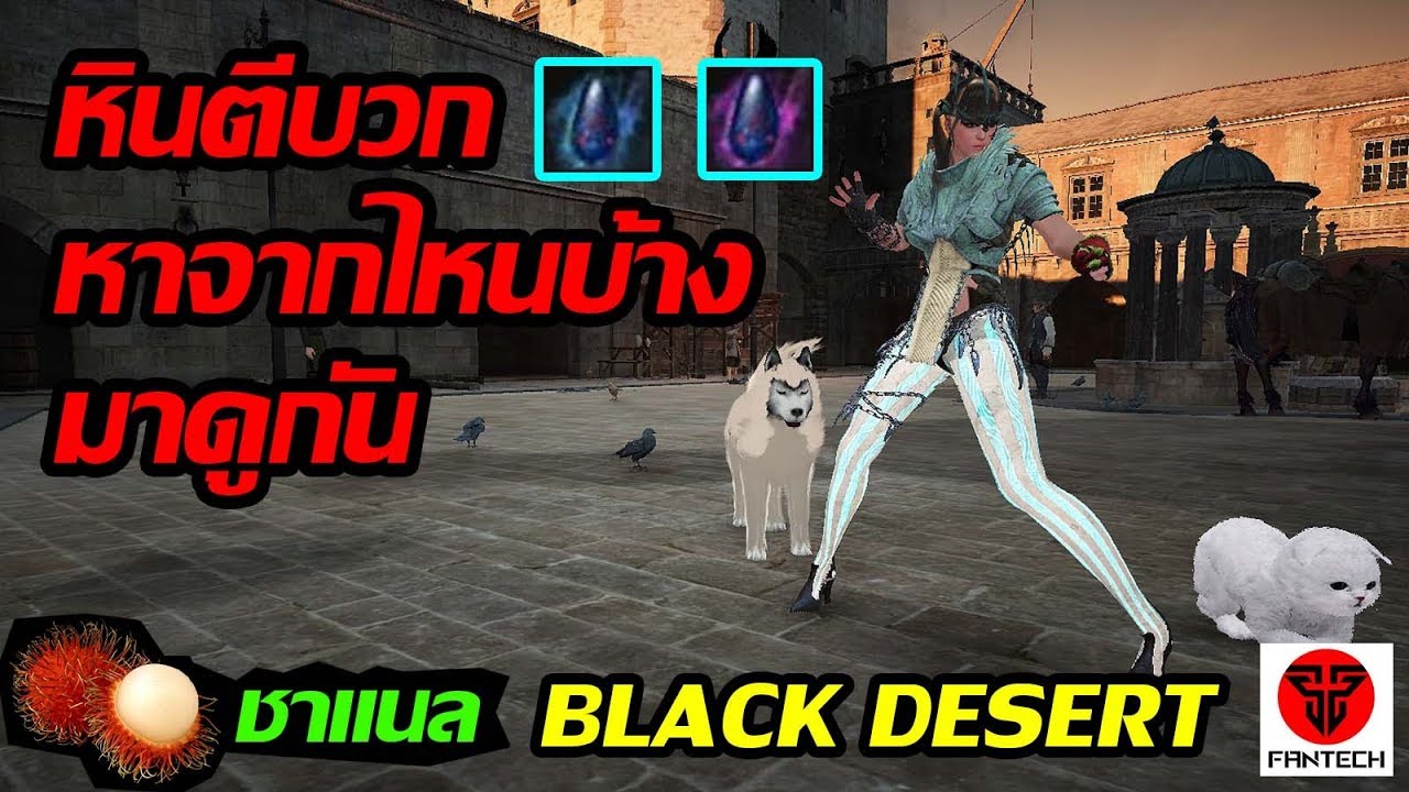 black desert หา หินตีบวก  Update 2022  Black Desert Online : หินตีบวก [ เกราะ + อาวุธ ] หาจากไหนได้บ้างมาดูกัน