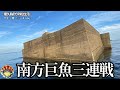 釣り師憧れの大物が回遊する屈指の堤防で24時間ブッコミ釣りをすると未知の巨魚達が連発…の巻