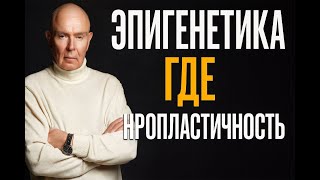 видео: Нейроны выбирают смысл: как мозг переписывает реальность О нейропластичности  эпигенетики и сознания картинка: Нейроны выбирают смысл: как мозг переписывает реальность О нейропластичности  эпигенетики и сознания