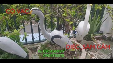 CÒ VẠC ,DIỆC, SÂM CẦM MỒI GIẢ BẰNG XỐP AE CẦN LH: 0904715570