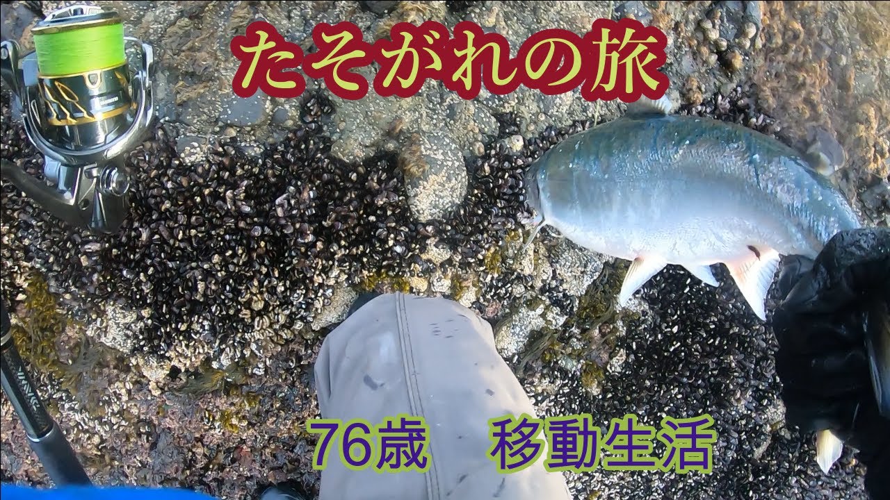 日本海側サクラマスポイントを積丹方面に釣り歩く