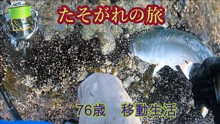 日本海側サクラマスポイントを積丹方面に釣り歩く