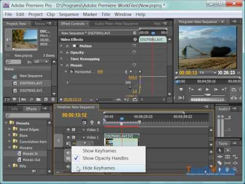   Adobe Premiere Cs4 -  9