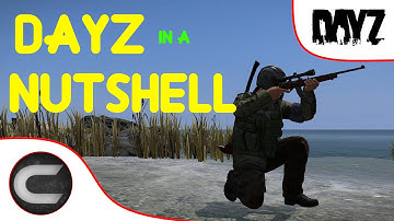DayZ In A Nutshell ( DayZ Standalone )