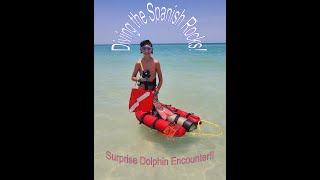 Diving at the Spanish Rocks in Anna Maria Island with a special DOLPHIN ENCOUNTER!!!