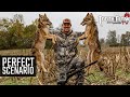 Perfect Scenario - Coyote Hunting