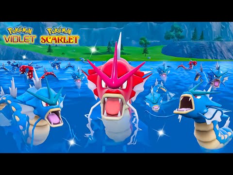 I Tested Shiny