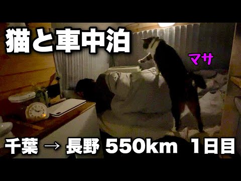 【猫と車中泊】千葉から長野へ3泊4日の旅の一日目｜思い出の場所を巡りながら帰ります｜猫型目覚ましの様子もお楽しみ下さい。