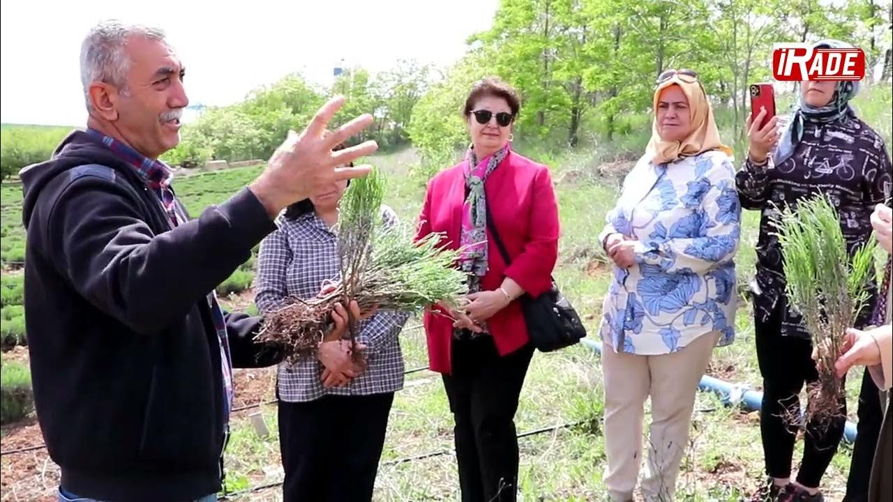 Sivas'ta Kadın Üreticiye Destek Her Geçen Gün Artıyor!