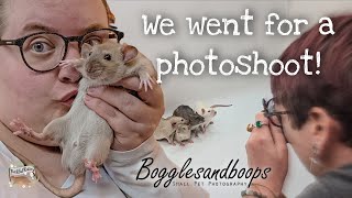 I took my rats for a photoshoot with Bogglesandboops Small Pet Photography!✨️🐀📸