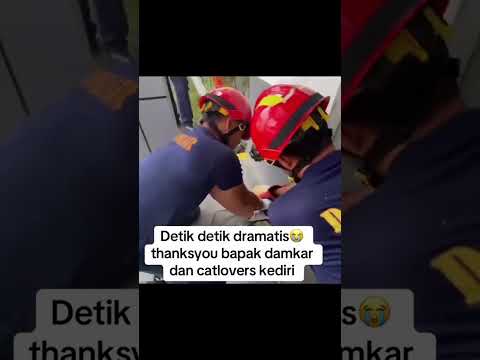 Aksi Petugas Damkar Selamatkan Kucing Terlilit Lakban Bikin Netizen Lega