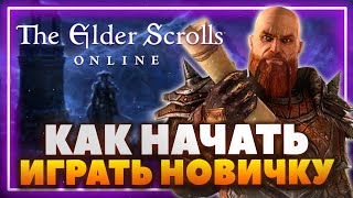 Как начать играть в The Elder Scrolls Online - 10 Советов для новичков