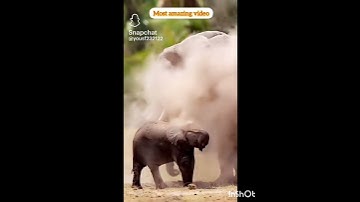 بسم الله الرحمن الرحیم سوره بقره آیات 201-202. ماموستا یاسر بوکانی