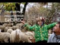 Овцеферма - наше семейное дело