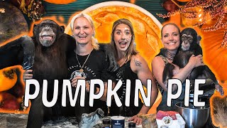 Chimpanzee Brothers Made Pumpkin Pie