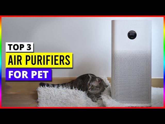 Best Air Purifier for Pet Odors