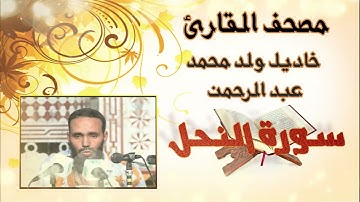 سورة النحل بدون إعلانات للقارئ الموريتاني خاديل ولد محمد عبد الرحمن