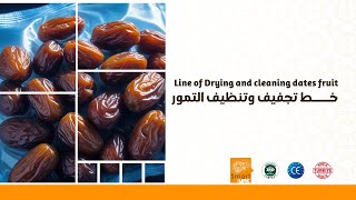 Line of Drying and cleaning dates fruit