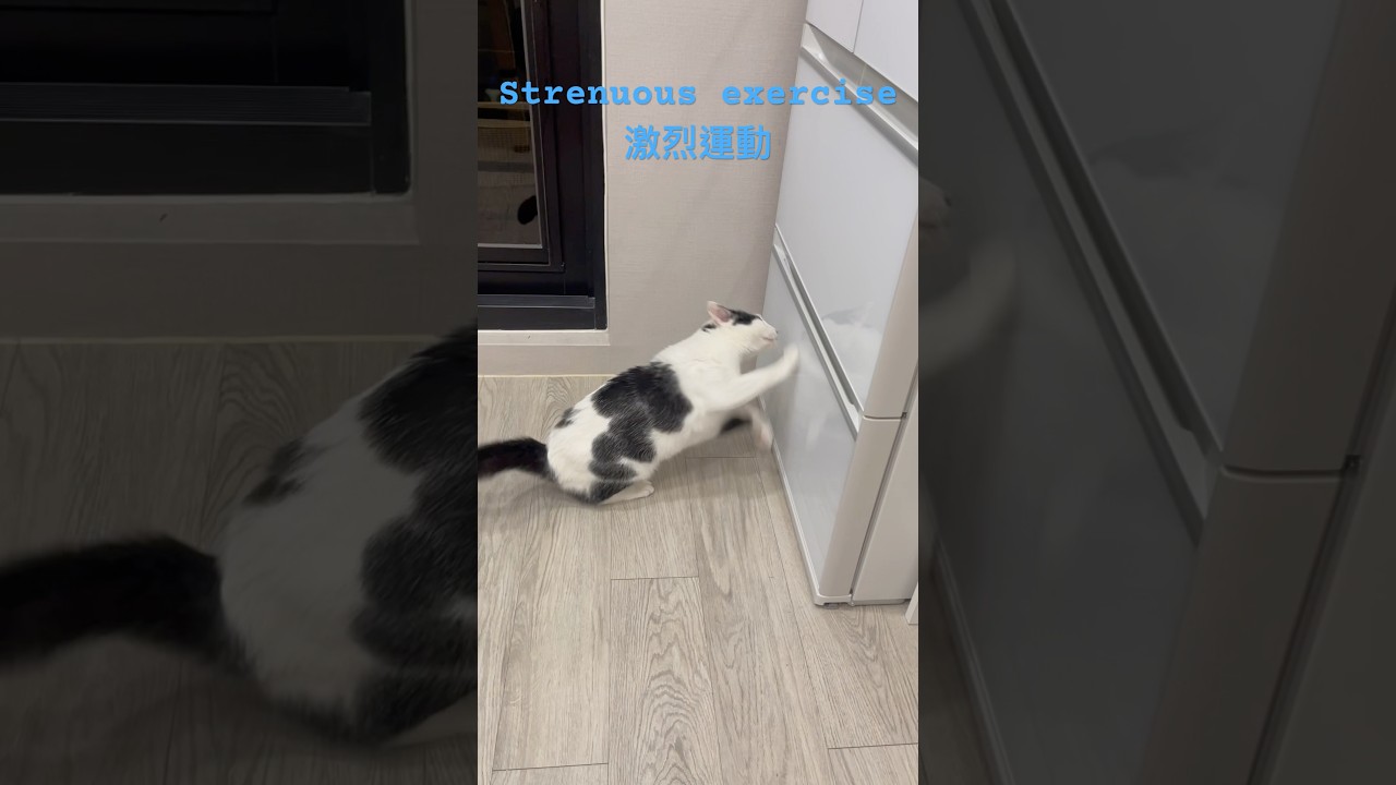 strenuous exercise激烈運動