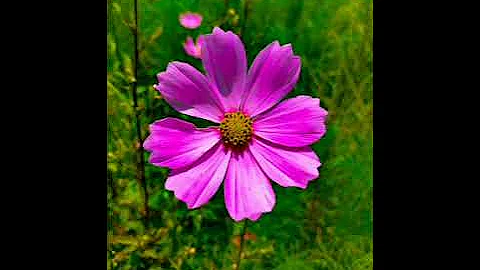 MDeeKay MIX(Afro-house)Brenden praise,black motion,Heavy k,Sun El musician,Prince Kaybee,Mzux Maen