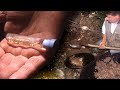 Craft Gold Extraction Of Gold Flakes In The Earth And Sand In A Traditional Way Documentary Film Craft Gold Extraction Of Gold Flakes In The Earth And Sand In A Traditional Way Documentary Film