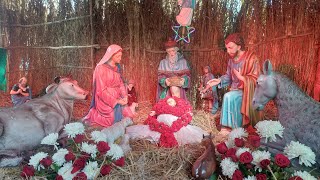 Christmas Night Mass St Francis Xavier's Church Chikkaballapur 25-12-2025