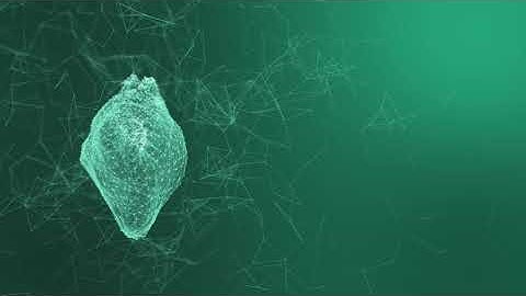 Plexus Of The Points Of The Heart HD