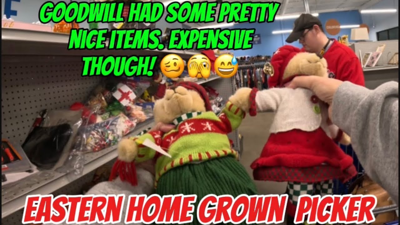 Hitting Goodwill again for items to resell!shopping for Ebay items ...