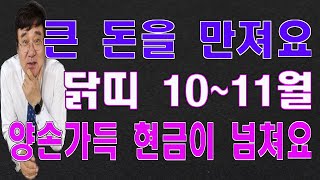 계묘년 닭띠 10~11월의 운세 이것만 아시면 대박입니다.