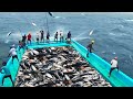 Fishermen Captures What No One Was Supposed to See