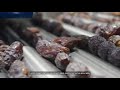 Amazing Medjool Dates Fruit Farming And Factory Artificial Intelligence Date Processing Technology 