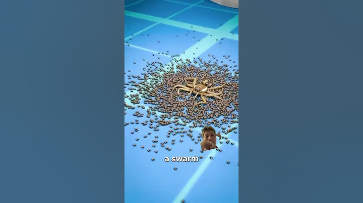 Why you shouldn’t stomp on a spider! 🕷️