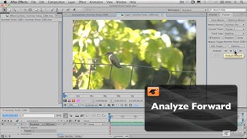 After Effects CS5 201: Motion Tracking and Stabilization - 4. Setting The Search Region
