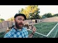 Micro Farming the (Arizona) Suburbs