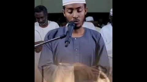 الشيخ عفيف محمد تاج سورة يوسف