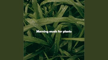 Subdued Ambiance for Brave Keynotes