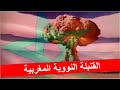 المشروع النووي المغربي الفاشل وعلاقته بموت الجنرال الدليمي