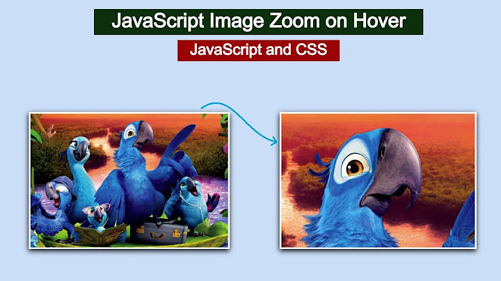 Cara menggunakan image zoom javascript codepen